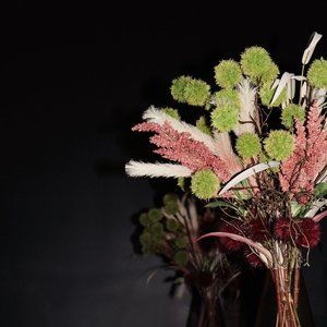 Meet your Posher, Liz